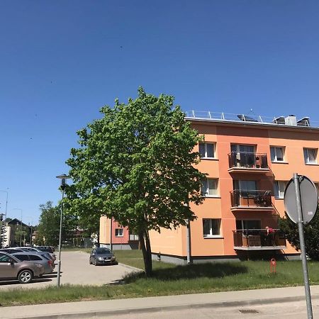 Neriesapartment No.3 With Terrace In Centrum Palanga Exterior photo